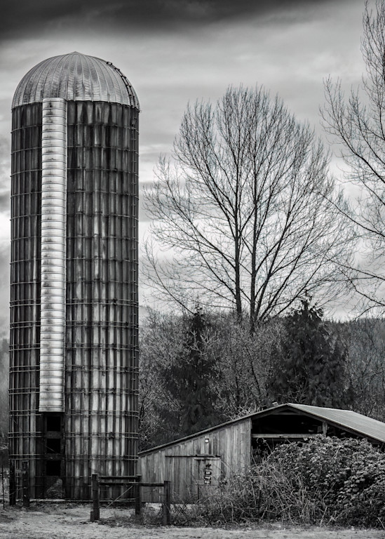 Silo and Barn, Grays Harbor County, Washington, 2023