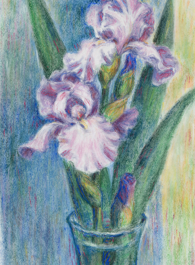 Pink Irises by Julie Betzen Tilton