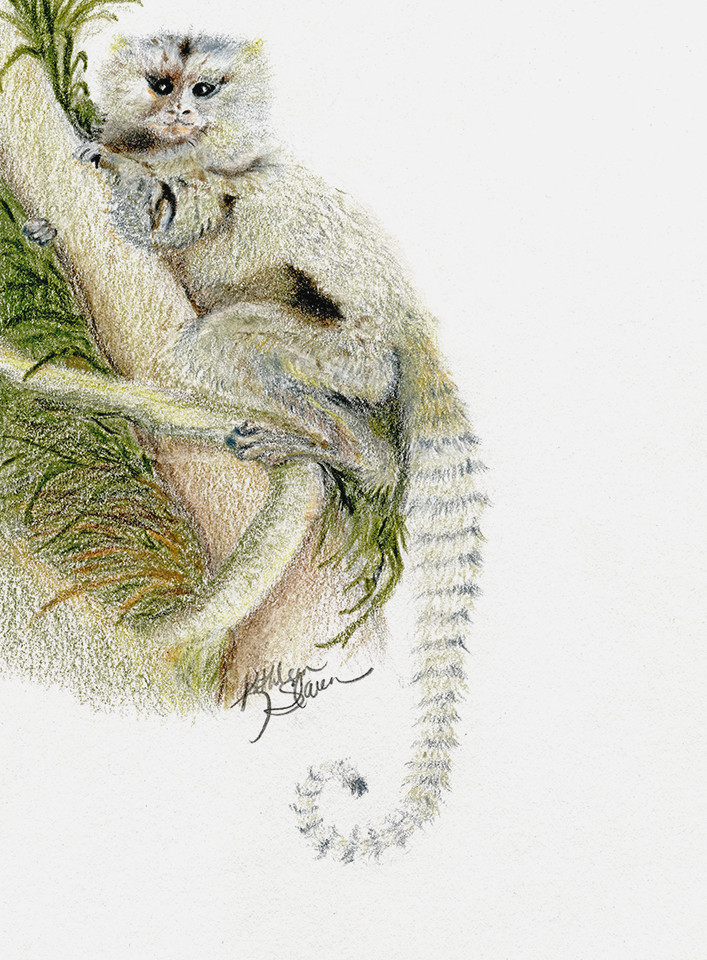 Finger  Monkey  Art | Kathleen Slaven Art