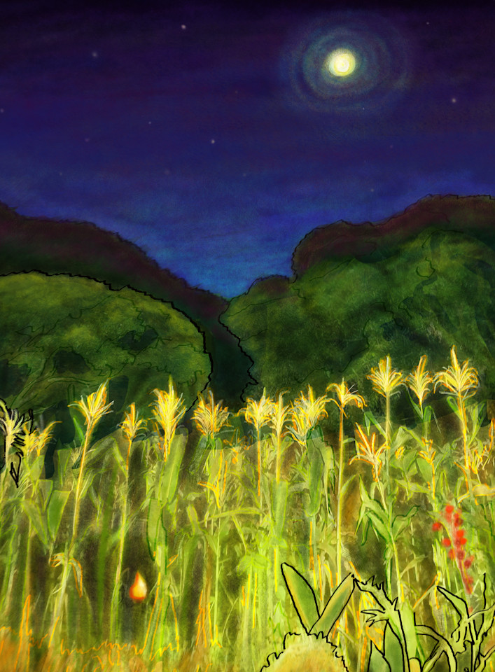 Gift Shop: Malawian Maize