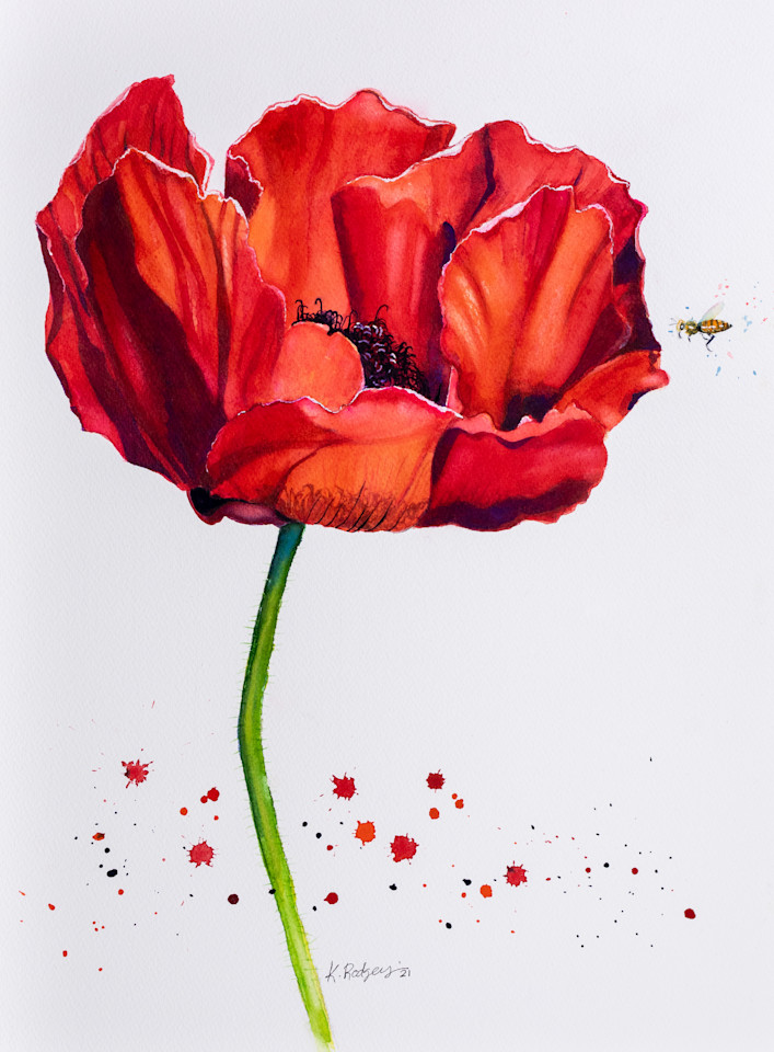 Big Poppy Greetings Art | Katherine Rodgers Fine Art