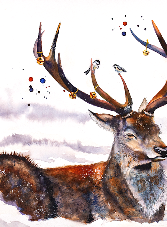 Check Out My Rack Greeting Card Art | Katherine Rodgers Fine Art
