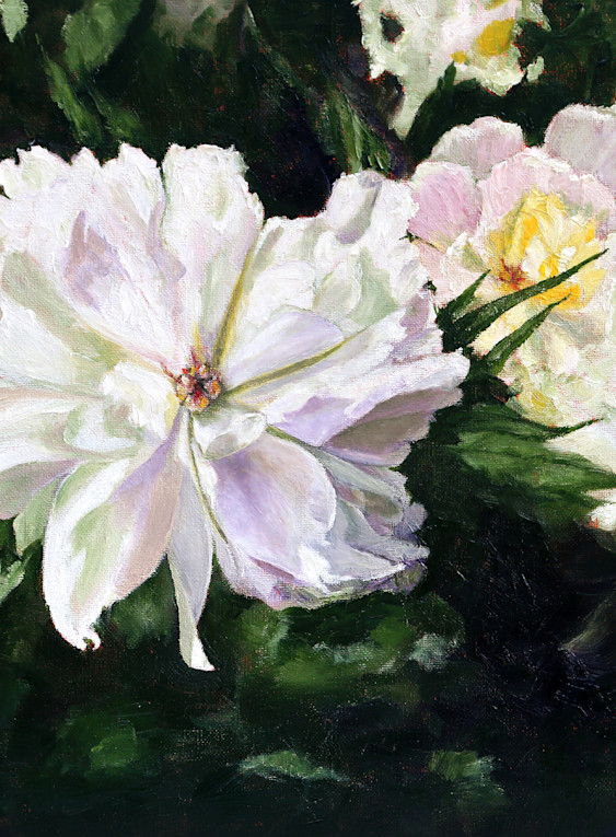 Heirloom Peonies