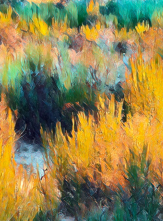 Autumn Grasses  Art | Dave Fox Studios