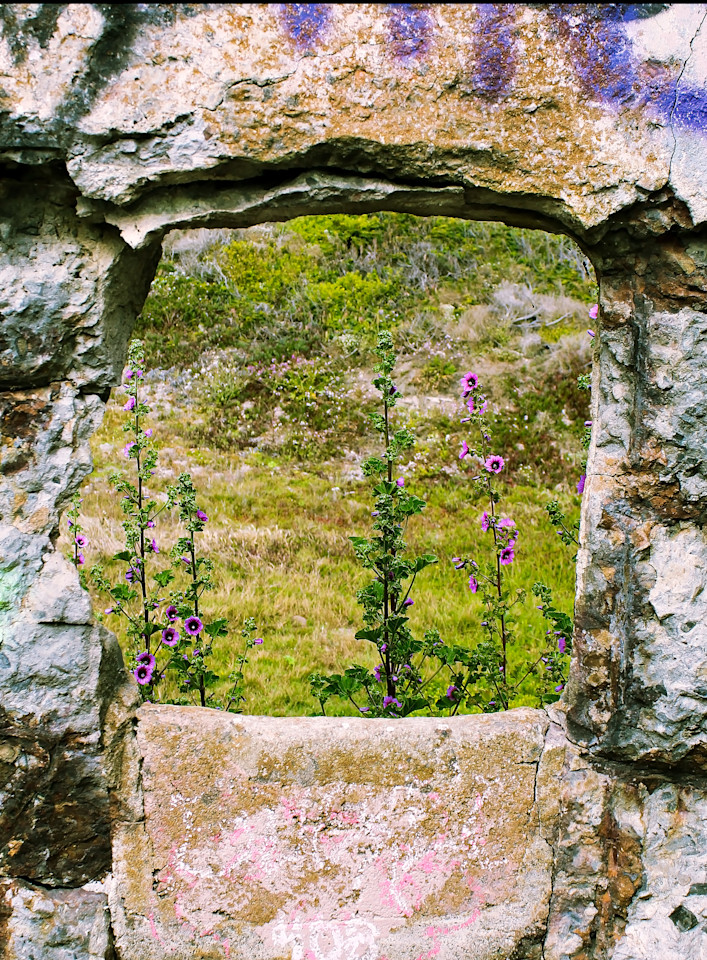 Sutro Baths Portal Consignment Photography Art | Xan Blood Walker Fine Art Photography