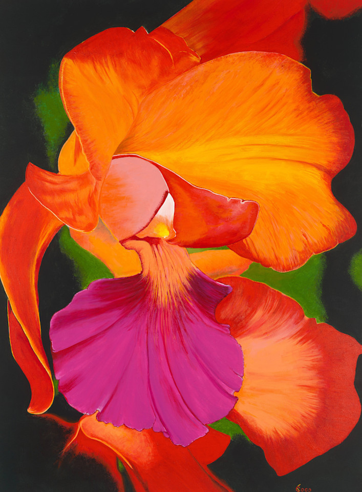 Tropical Splendor Art | My Passionate Art, LLC