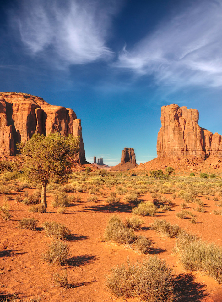 Thunderbird Art | tommurray