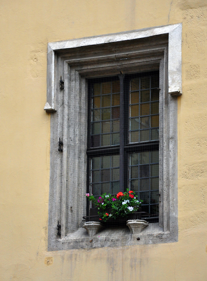 Blumen In Der Witwe Art | tommurray