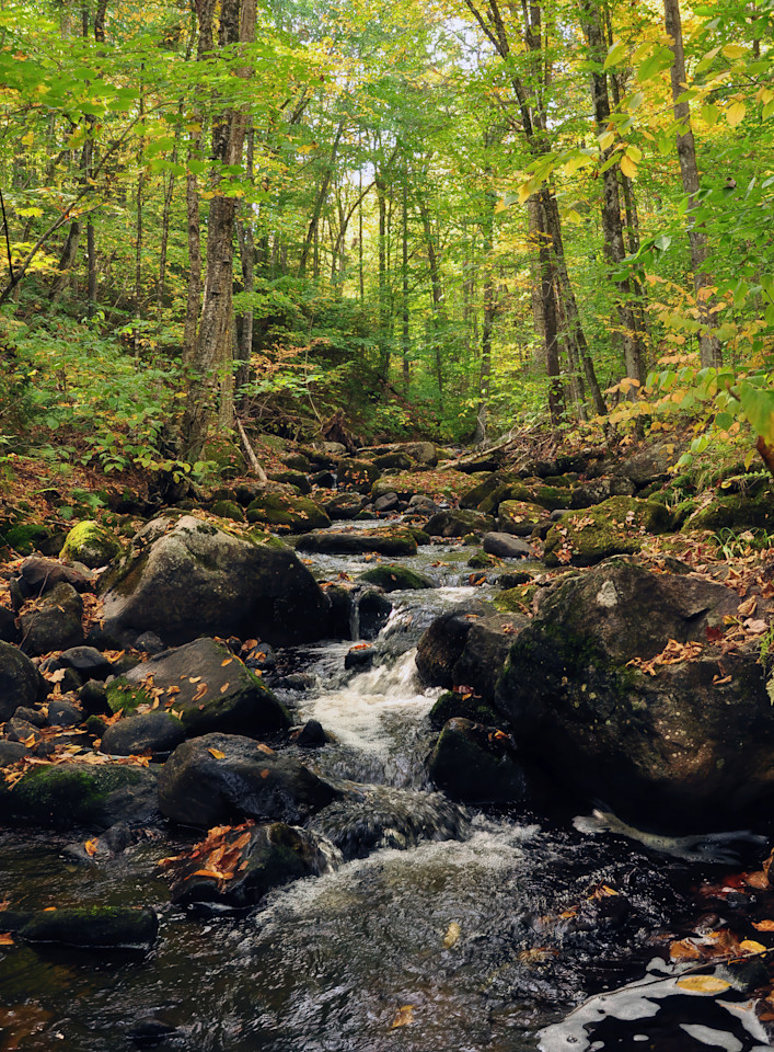 Babble Art | tommurray