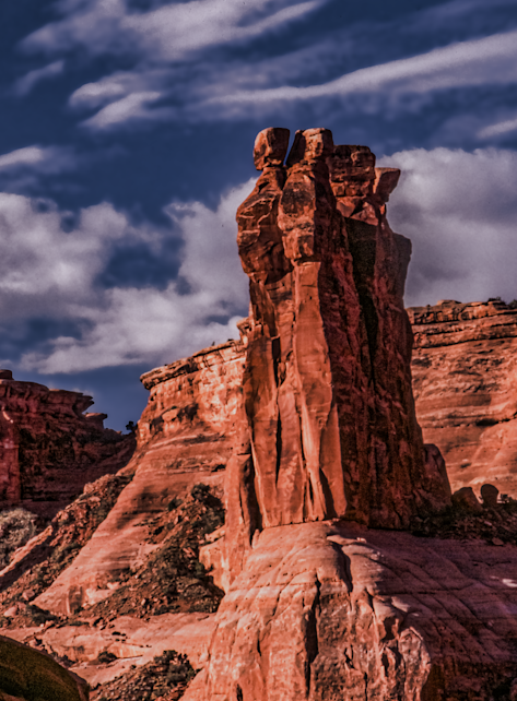  "Desert Giants - Vibrant Landscape Art"