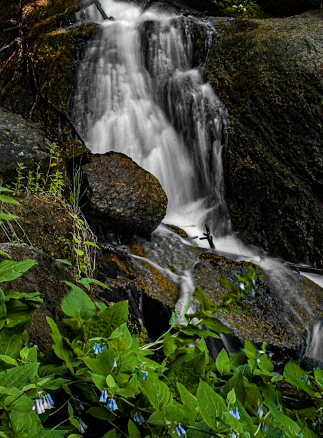 Dsc 2491010706 352368872 O Photography Art | James H Egbert's Silver Branch Studios