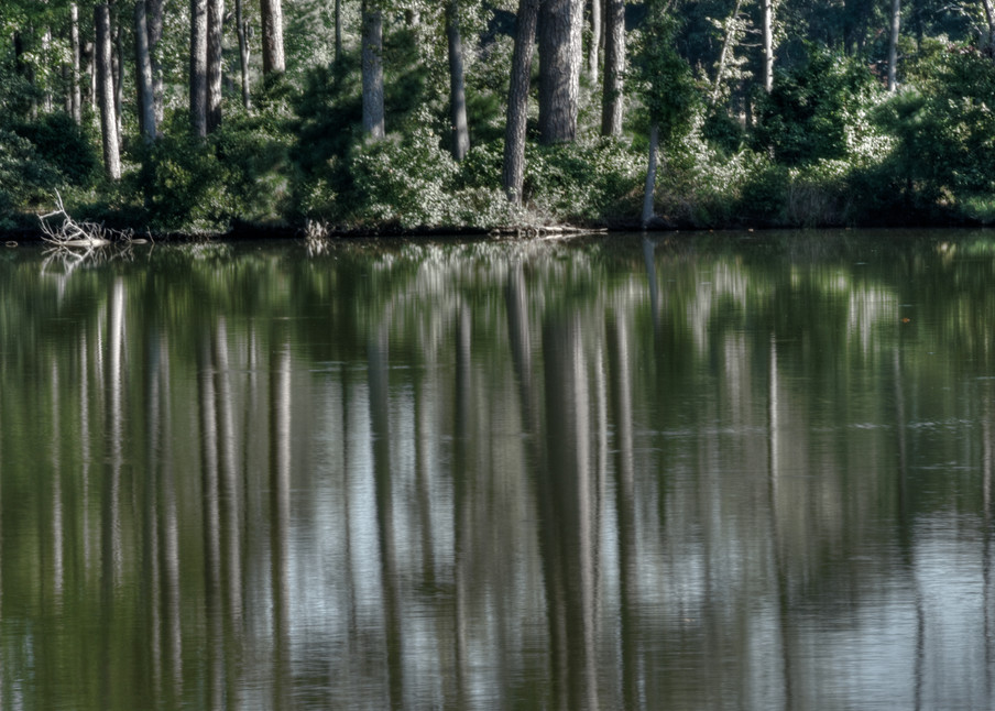 Fine Art Photograph of Norfolk Forest Reflections by Michael Pucciarelli