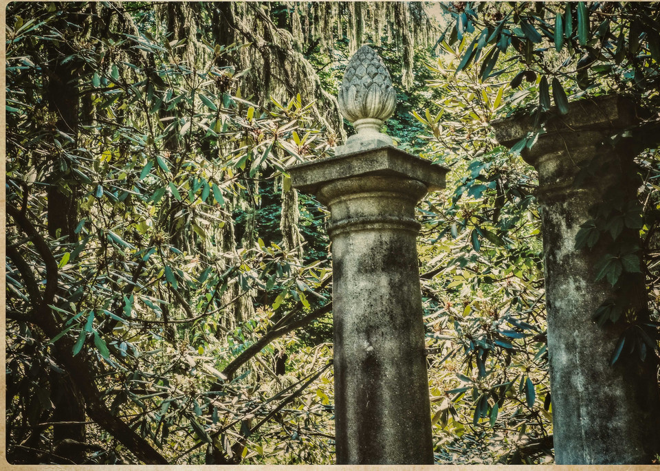 Columns   Greenwood Gardens Photography Art | David Frank Photography