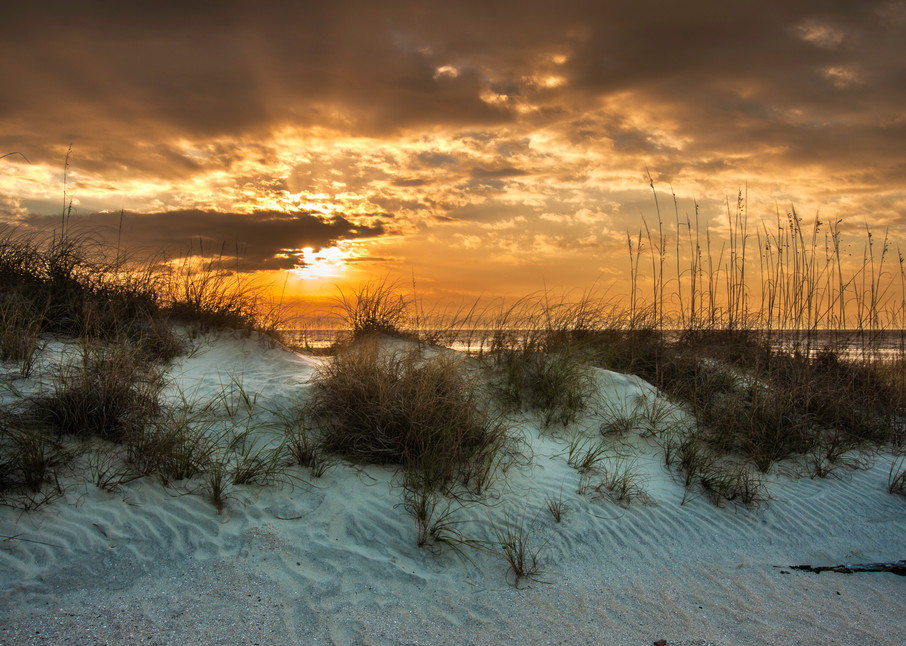 Beach Dunes Sunrise