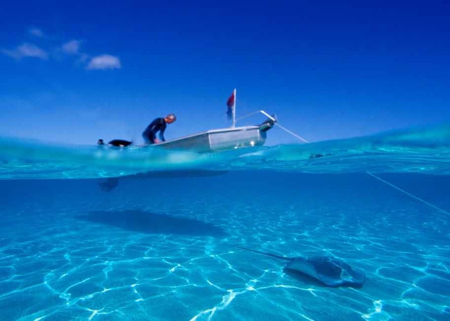 Moorea, French Polynesia; Eric Henningsen prepares for a dive at Sting Ray City, as a Tahitian Sting Ray swims under the boat