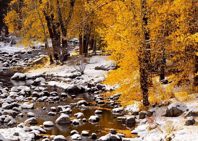 Early Snow, Truckee River