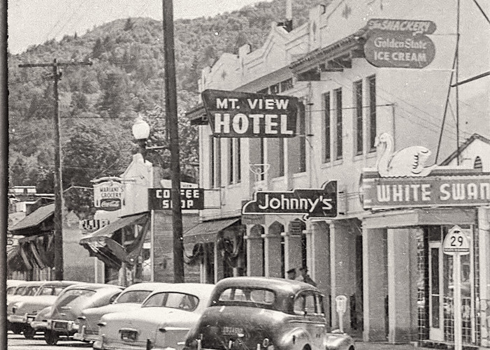 Mount View Hotel 1950's