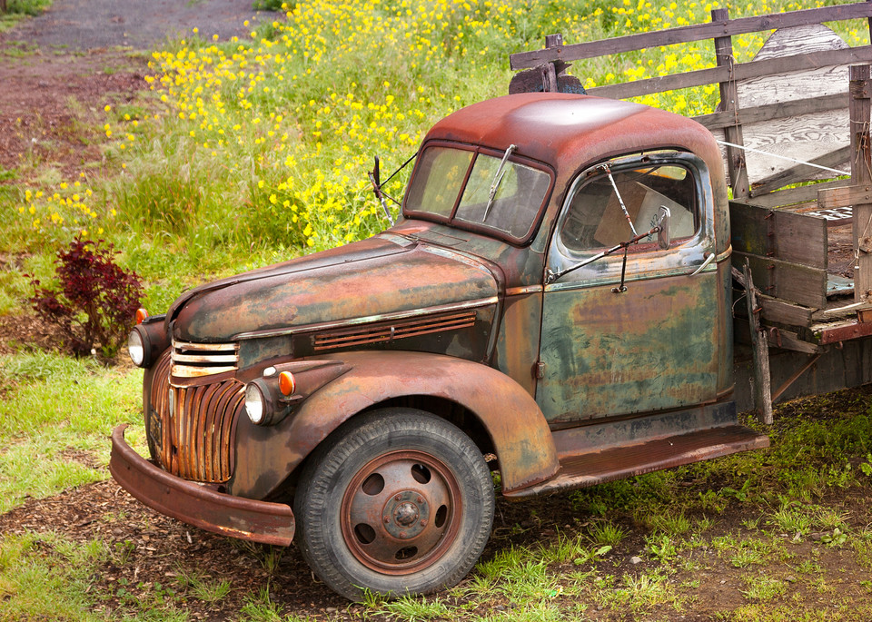 Rusted Truck and Mustard