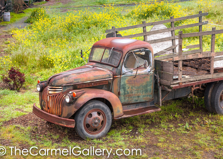 Rusted Truck and Mustard H