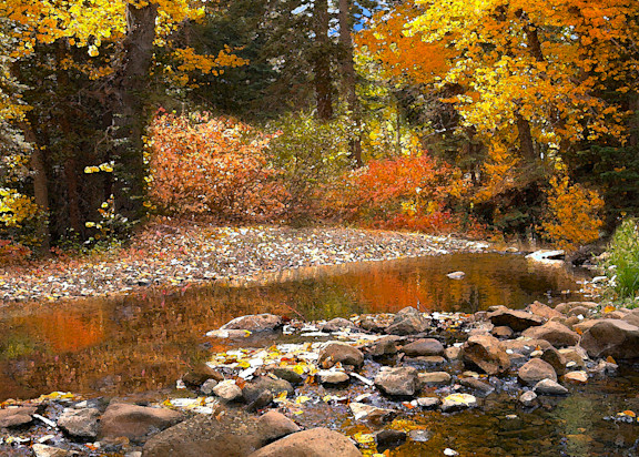 Blackwood Creek Autumn Art | The Carmel Gallery