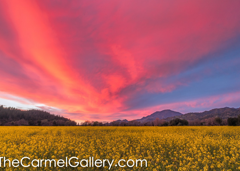 Spring Sunset Napa Valley Art | The Carmel Gallery