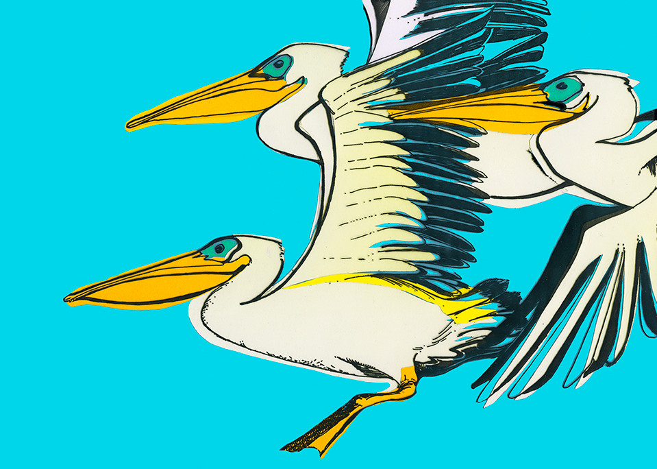 Pelicans Art | Fine Art New Mexico