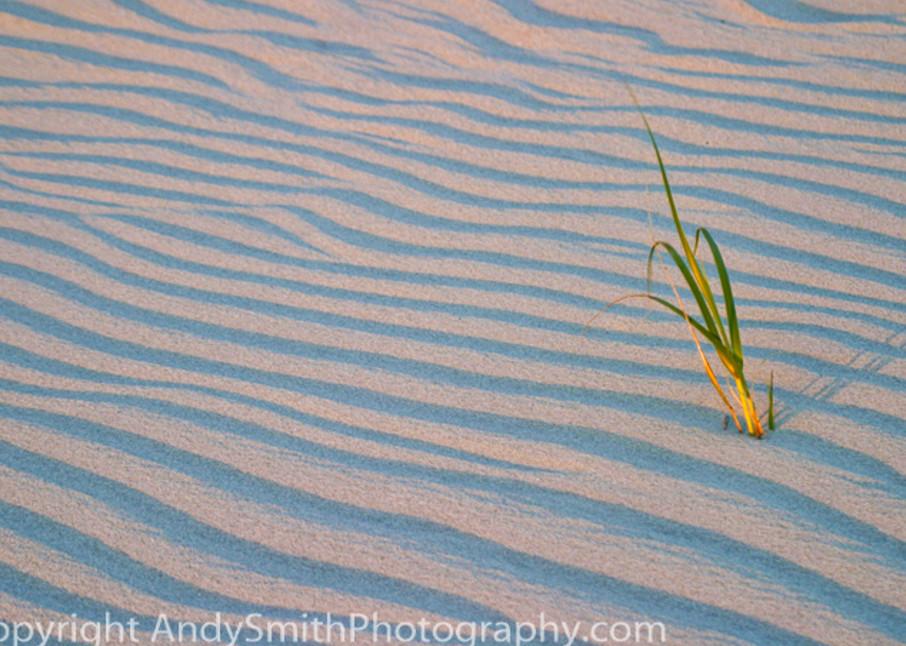 waves in the sand fine art photograph