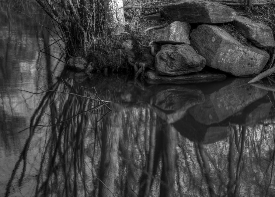 A Fine Art Black And White Photograph of Lake Whetstone Reflection by Michael Pucciarelli