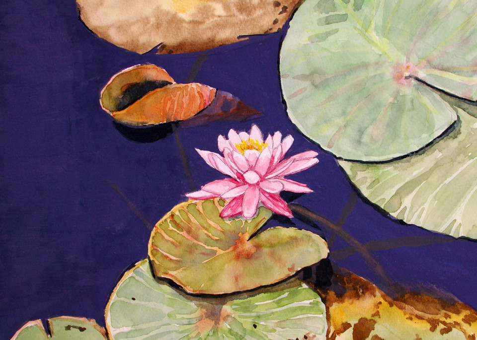 'Blossom' - Original Water Lily Art for Sale