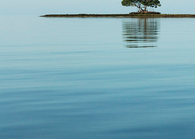 Photograph from a canoe in the gulf waters of Everglades National Park, Florida