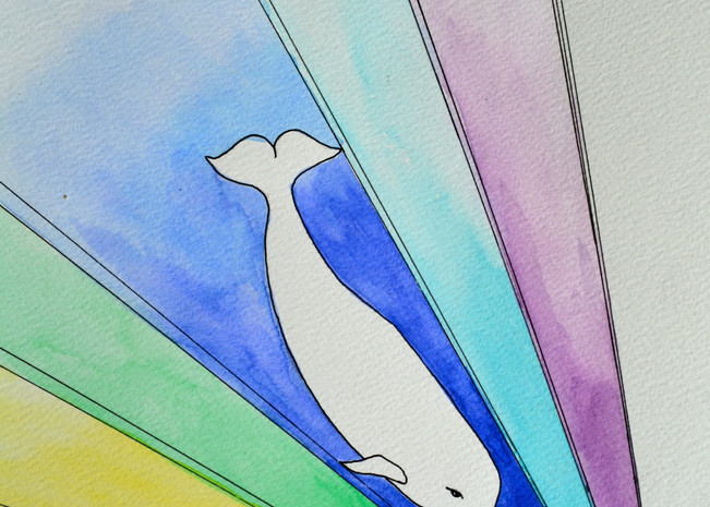 White Gnarwhal Diving Into A Rainbow Sea Art | Gnarwhal Designs