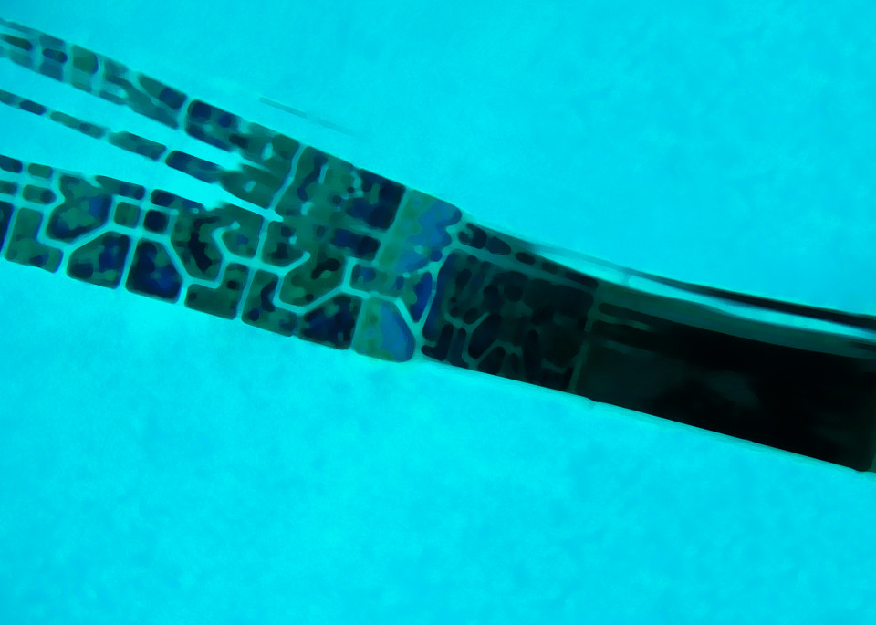 ABSTRACT UNDERWATER PHOTOGRAPH IN SWIMMING POOL OF TILE