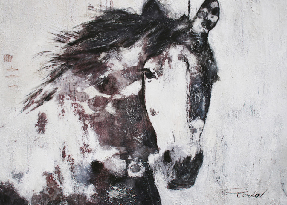 Orl 6144 15 Gorgeous Horse Art | Irena Orlov Art