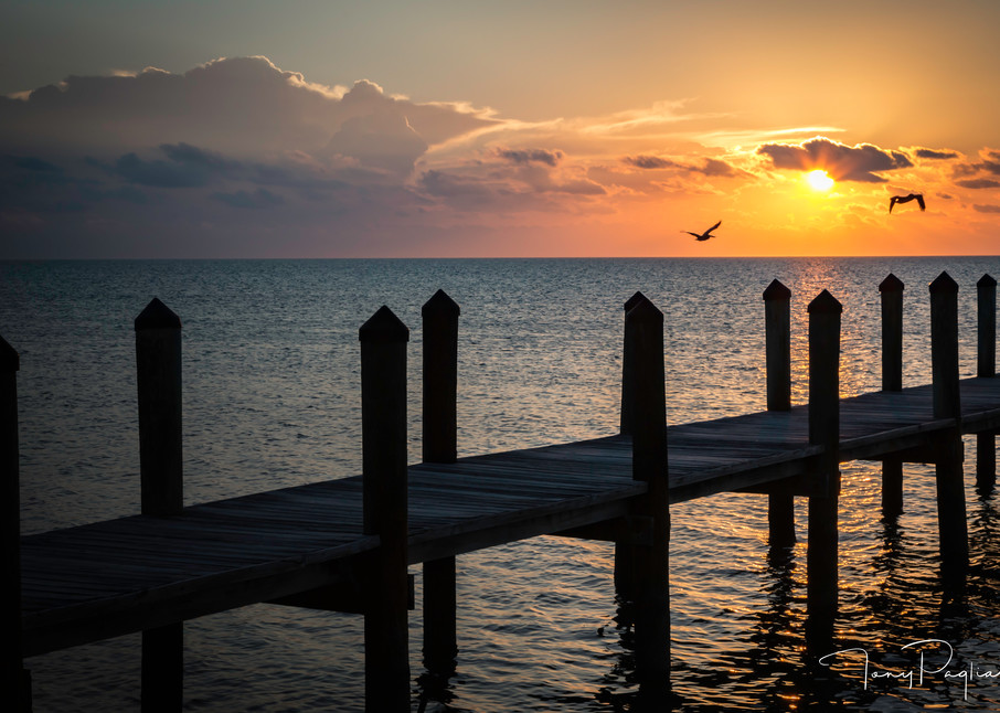 Sunrise At Islamorada   Florida Keys Art | Tony Pagliaro Gallery