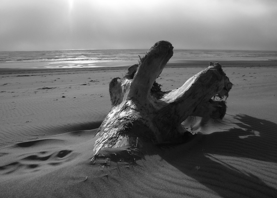 Abandoned   Oregon Coast Photography Art | Photoissimo - Fine Art Photography