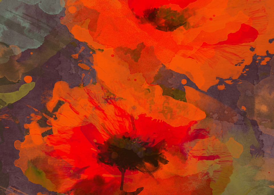 Symphony Of Poppies Art | Irena Orlov Art