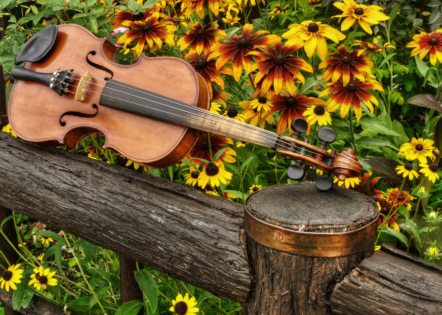 Music in the Garden, original violin artwork by Instrumental Art