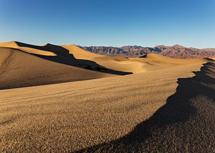Mesquite Flat Sand Dunes Photograph for Sale as Fine Art