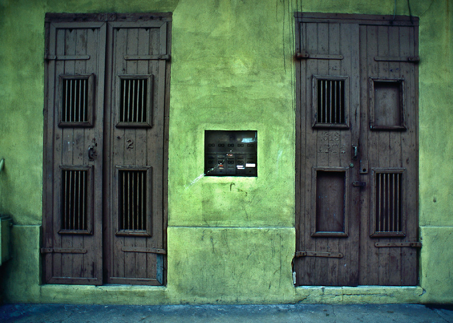 photo print of French Quarter Doors