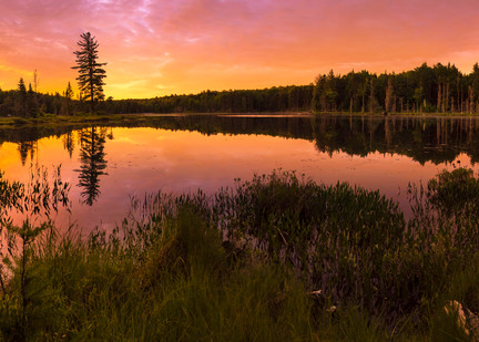 Twin Ponds Sunrise Panoramic Photography Art | Kurt Gardner Photography Gallery
