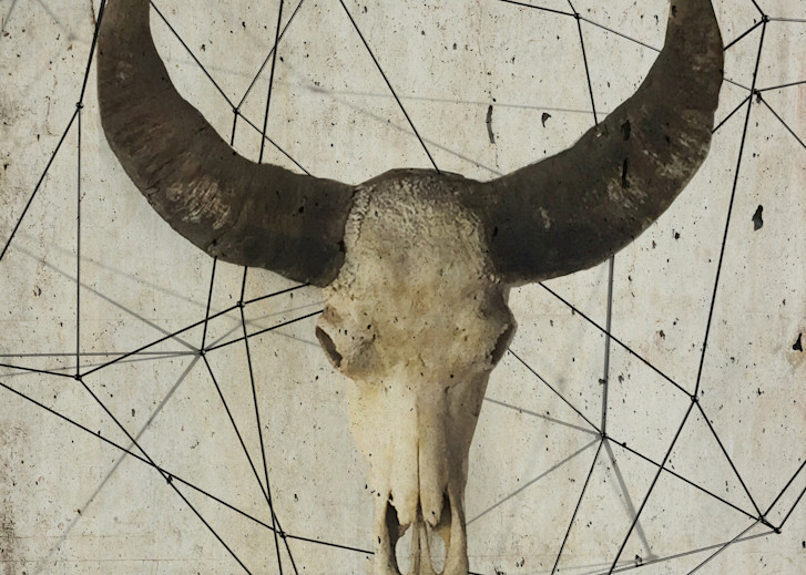 Orl 9981 1 Buffalo Skull Art | Irena Orlov Art