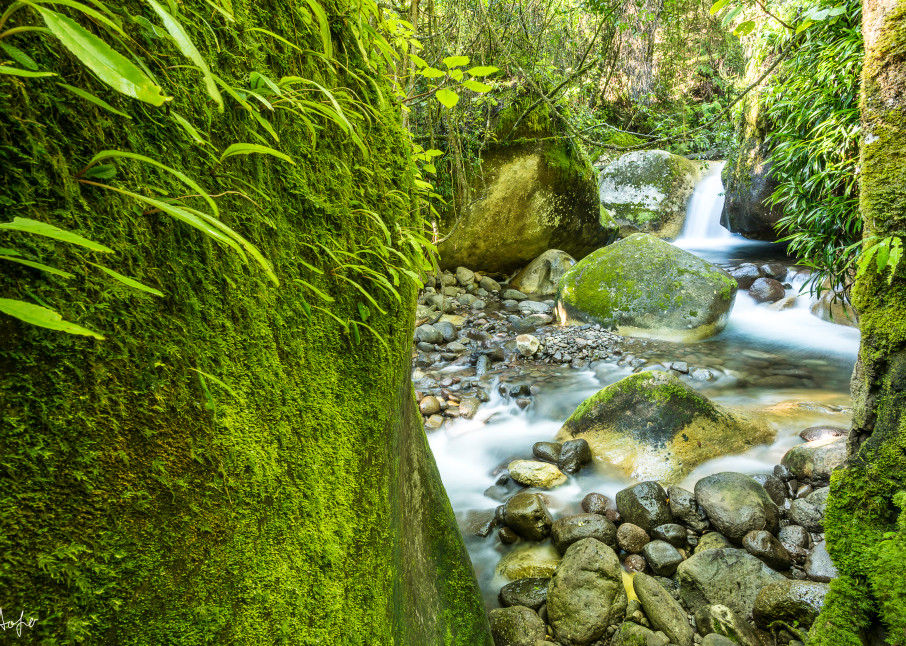 fine art photograph of green mossy landscape with waterfall in the background