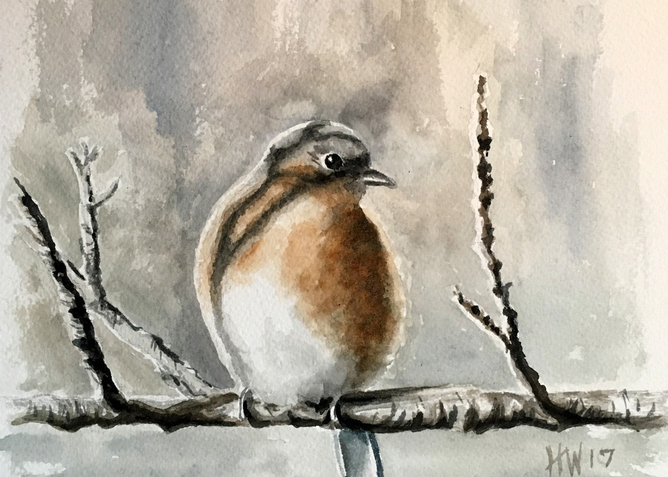 Baby Blue, watercolor painting of young blue bird by Holly Whiting