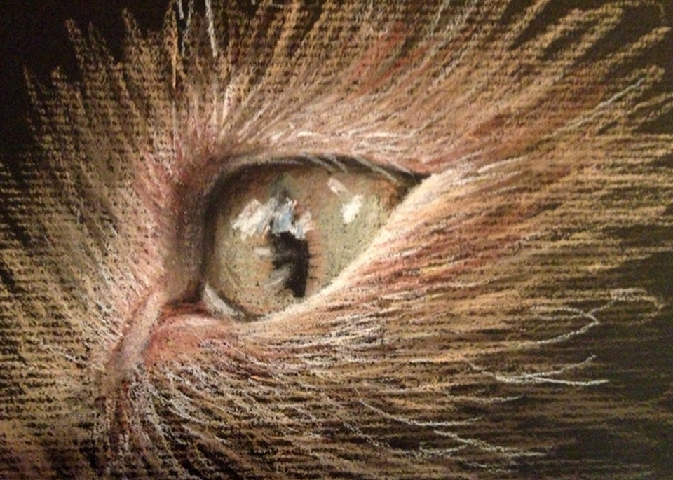 Cat's Eye, pastel drawing by Holly Whiting