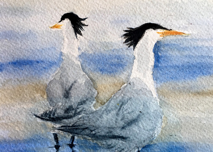 Terns painting by Holly Whiting