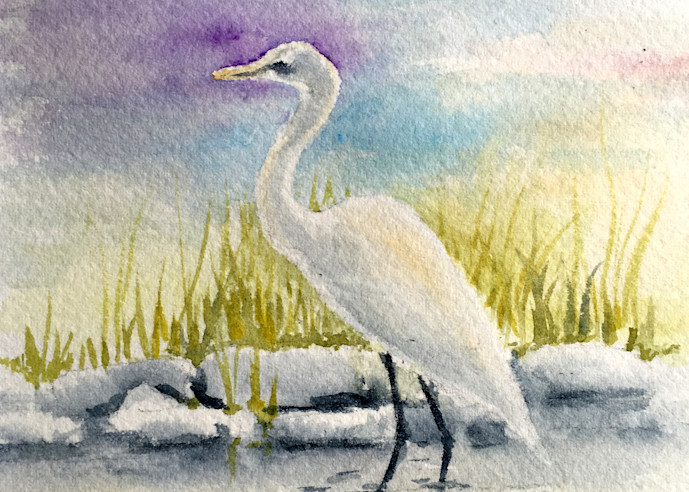 Great Egret Art | Holly Whiting Art