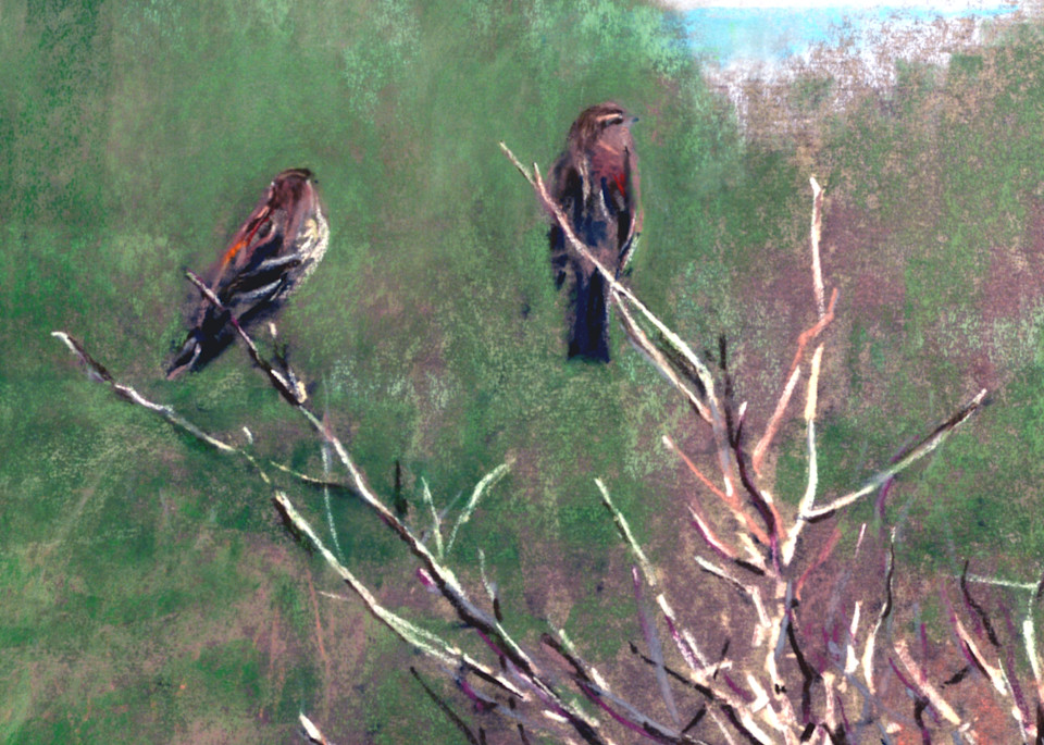 landscape painting
oregon coast 
birds