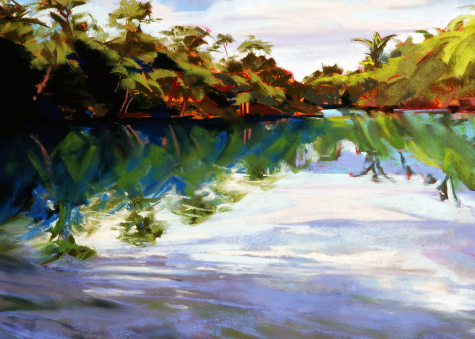 landscape painting
fiji
mangrove
