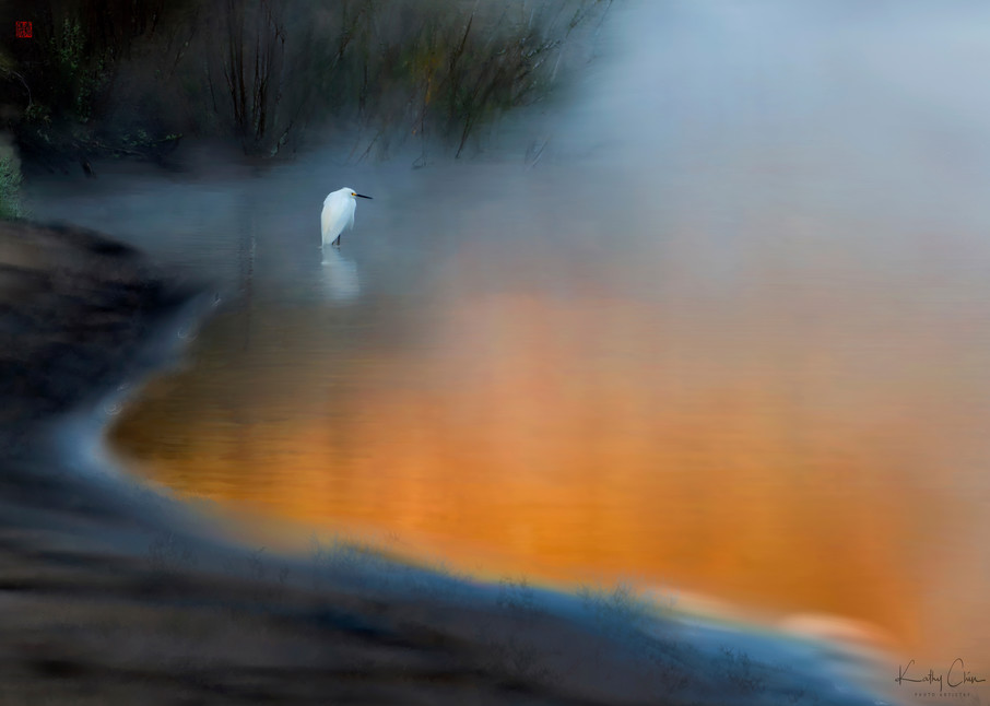 Egret on Foggy Lake
