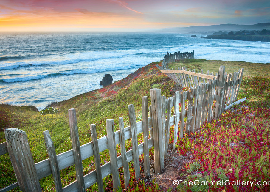Picket fence Sea Ranch sunset Black Point Ice plant